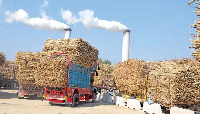 Punjab Govt Blames Sugar Price Hike